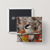 雪の上に大人の黒いキャップの《鳥》アメリカゴガラ 缶バッジ (正面&裏面)