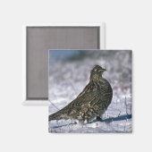 雪の上に立っている人毛の生い茂り マグネット (正面/裏面)