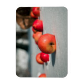 雪の上のりんご マグネット (縦)