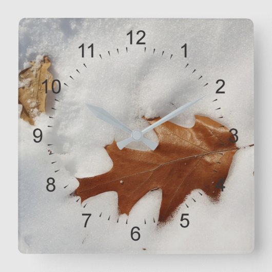 雪の上のオークの葉 スクエア壁時計 (正面)
