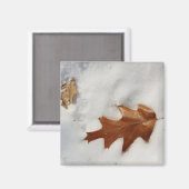 雪の上のオークの葉 マグネット (正面/裏面)