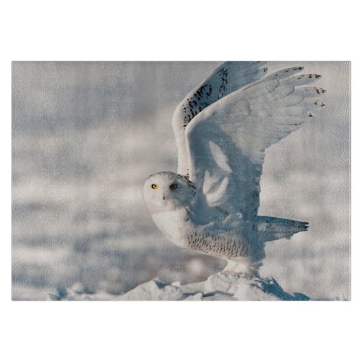 雪の上のシロフクロウの離陸 カッティングボード (正面)