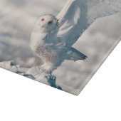 雪の上のシロフクロウの離陸 カッティングボード (角)