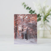 雪の上のピンクの日の出の写真 ポストカード (スタンド正面)