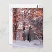 雪の上のピンクの日の出の写真 ポストカード (正面/裏面)