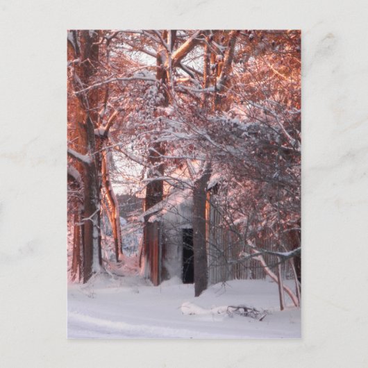 雪の上のピンクの日の出の写真 ポストカード (正面)