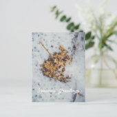 雪の上のホルテンシアの花 シーズンポストカード (スタンド正面)