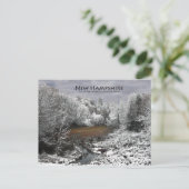 雪の上のムースOxbow:ニューハンプシャーポストカード ポストカード (スタンド正面)