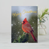 雪の上の常緑の陽気なクリスマス(鳥)ショウジョウコウカンチョウ 箔シーズンカード (立ち正面)