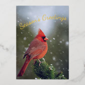 雪の上の常緑樹にカーディナル　季節のご挨 箔シーズンカード (正面)