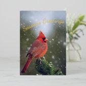 雪の上の常緑樹にカーディナル　季節のご挨 箔シーズンカード (立ち正面)