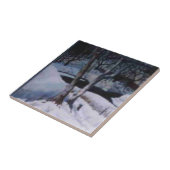 雪の上の暗い冬の日エルク川を覆った タイル (側面)