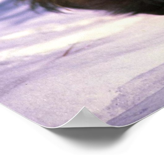 雪の上の狼 ポスター (角)