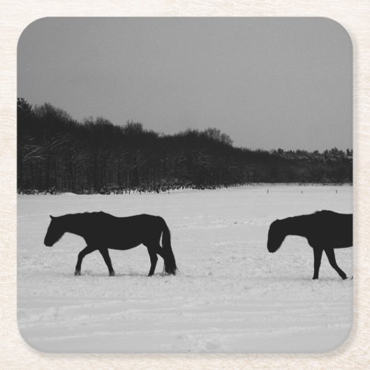 雪の上の馬のコースタクナ スクエアペーパーコースター (正面)