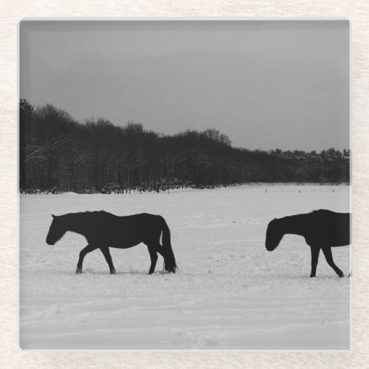 雪の上の馬 ガラスコースター (正面)