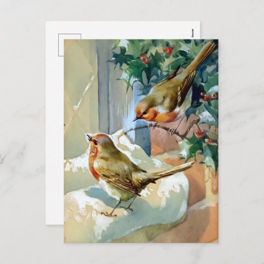 雪の上の2つのロビンはホリーを覆った シーズンポストカード (正面/裏面)