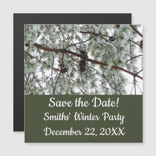 雪の下で松の木の冬の写真 (正面/裏面)