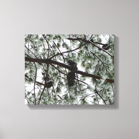 雪の下で松の木の冬の写真 キャンバスプリント (正面)