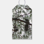 雪の下で松の木の冬の写真 ギフトタグ (正面)