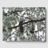 雪の下で松の木の冬の写真 ゲストブック (裏面)