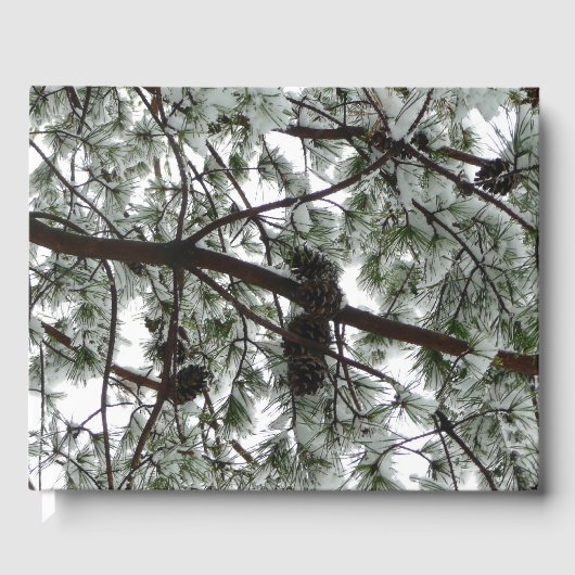 雪の下で松の木の冬の写真 ゲストブック (正面)