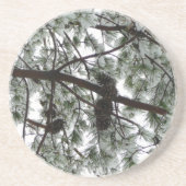 雪の下で松の木の冬の写真 コースター (正面)