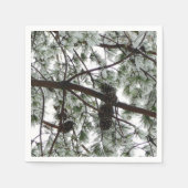 雪の下で松の木の冬の写真 スタンダードカクテルナプキン (正面)