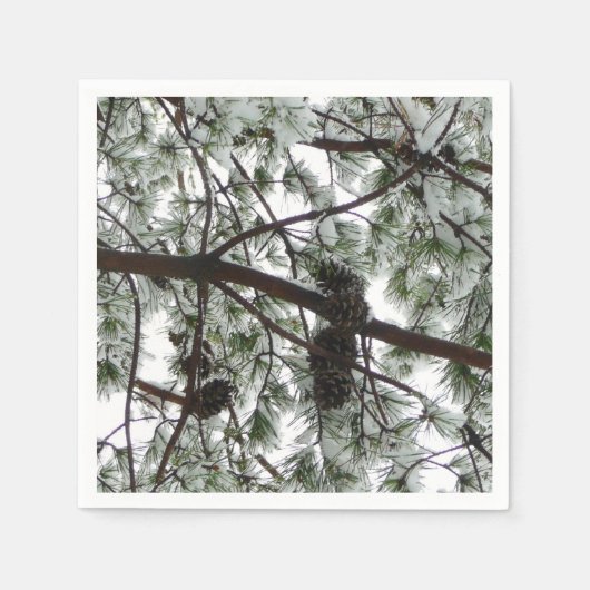 雪の下で松の木の冬の写真 スタンダードカクテルナプキン (正面)