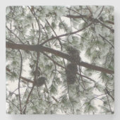 雪の下で松の木の冬の写真 ストーンコースター (正面)