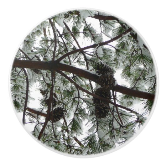 雪の下で松の木の冬の写真 セラミックノブ (正面)