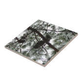 雪の下で松の木の冬の写真 タイル (側面)