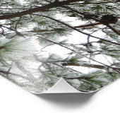 雪の下で松の木の冬の写真 フォトプリント (角)