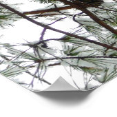 雪の下で松の木の冬の写真 ポスター (角)