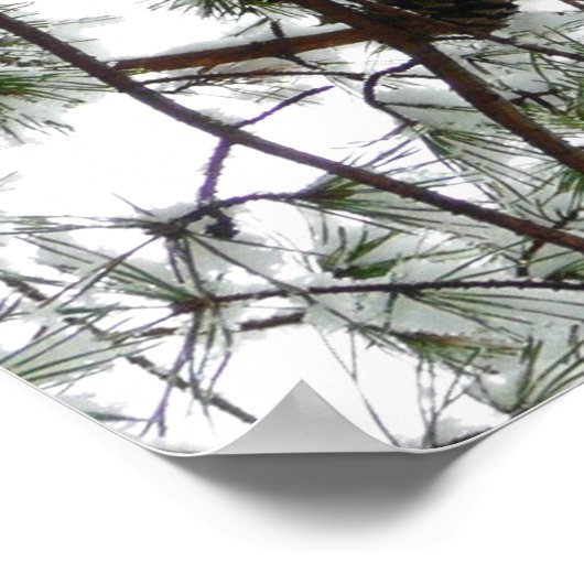 雪の下で松の木の冬の写真 ポスター (角)