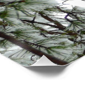 雪の下で松の木の冬の写真 ポスター (コーナー)