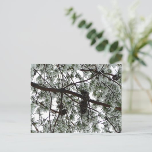 雪の下で松の木の冬の写真 ポストカード (スタンド正面)