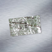 雪の下で松の木の冬の写真 マグネット名刺 (インサイチュ)