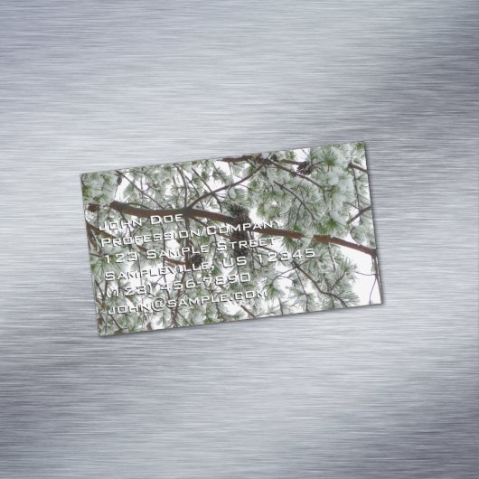 雪の下で松の木の冬の写真 マグネット名刺 (インサイチュ)