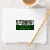 雪の下で松の木の冬の写真 ラベル (インサイチュ)