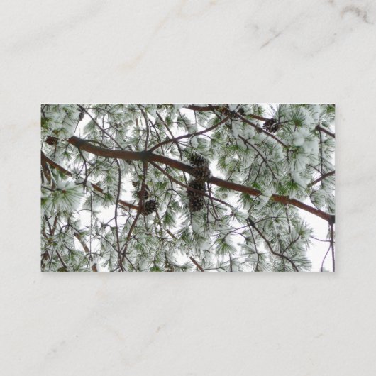 雪の下で松の木の冬の写真 名刺 (裏面)