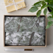 雪の下で松の木の冬の写真 薄葉紙 (ギフト)