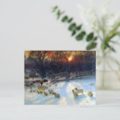 雪の下で邪魔な枝が ポストカード (スタンド正面)