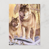 「雪の下の星」 ポストカード (正面)