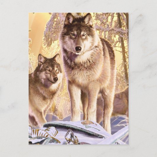 「雪の下の星」 ポストカード (正面)