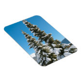 雪の下の松の木 マグネット (右側)