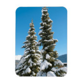 雪の下の松の木 マグネット (縦)