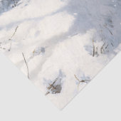 雪の下を歩くマウンテンライオン 薄葉紙 (詳細)