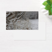 雪の下 (デスク)