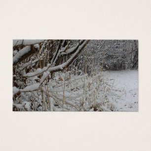 雪の下