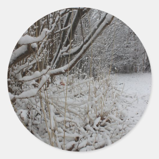 雪の下 ラウンドシール (正面)